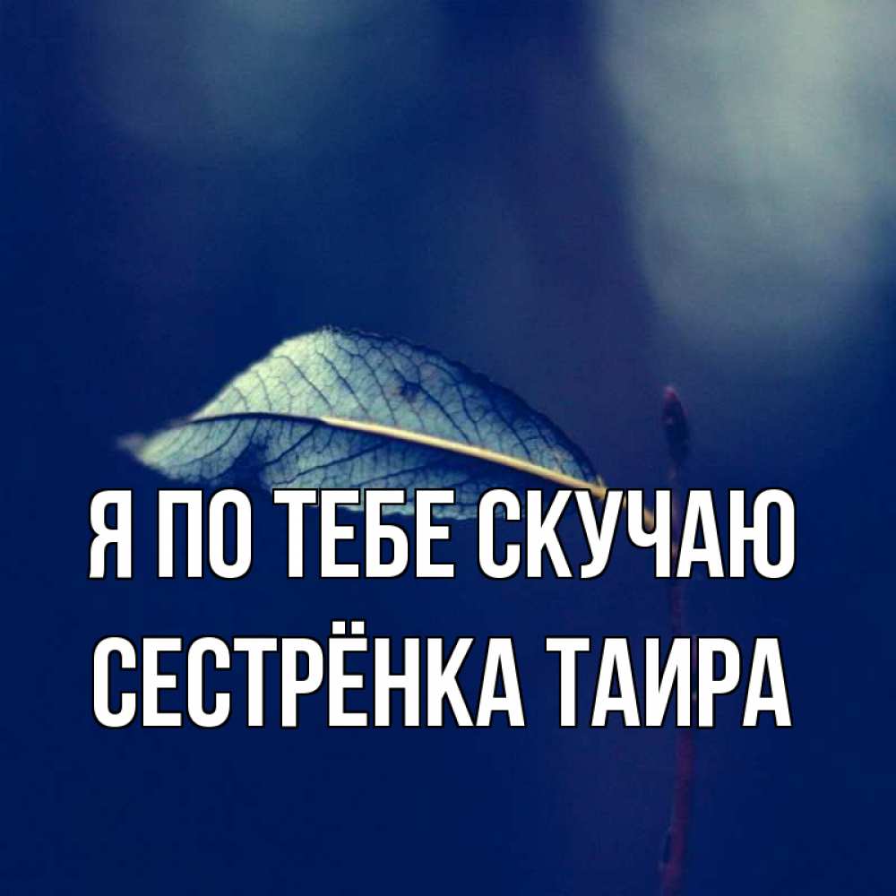 Открытка на каждый день с именем, Сестрёнка-Таира Я по тебе скучаю одна ветка 1 Прикольная открытка с пожеланием онлайн скачать бесплатно 