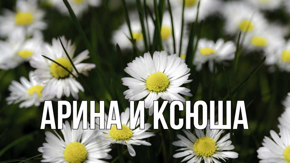 Открытка на каждый день с именем, Арина-и-Ксюша Главная с днем семьи  2 Прикольная открытка с пожеланием онлайн скачать бесплатно 