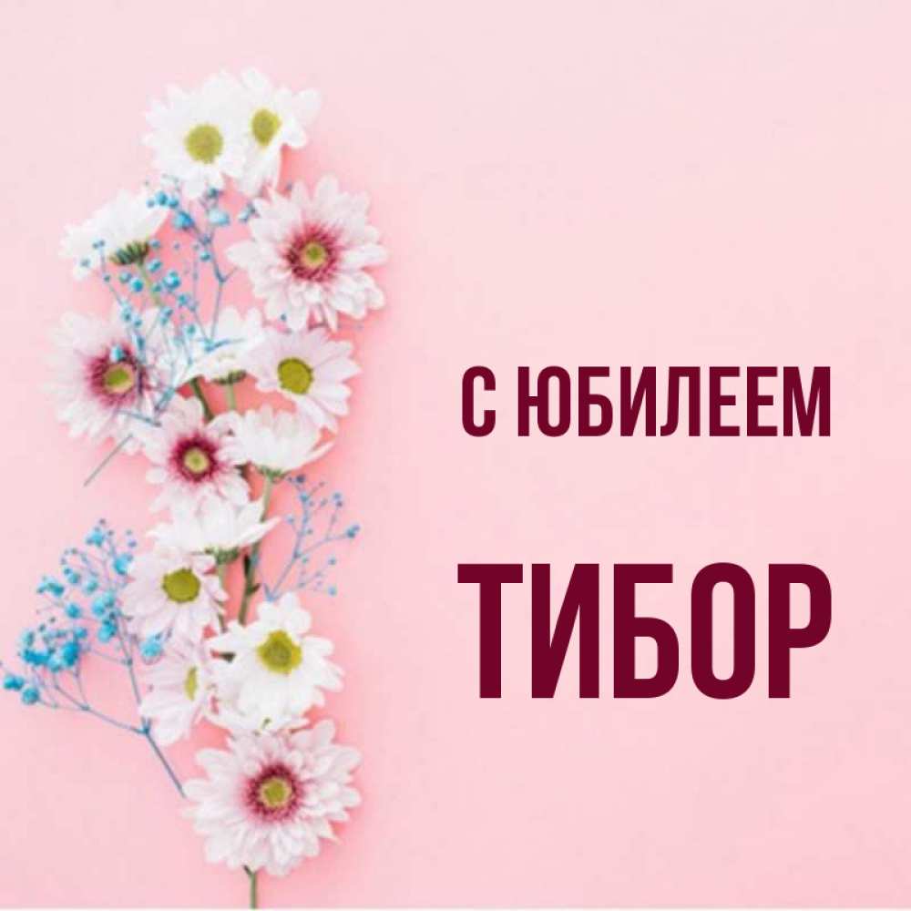 Открытка на каждый день с именем, Тибор С юбилеем Родная моя с днем рождения тебя картинка с цветами белыми и голубыми Прикольная открытка с пожеланием онлайн скачать бесплатно 