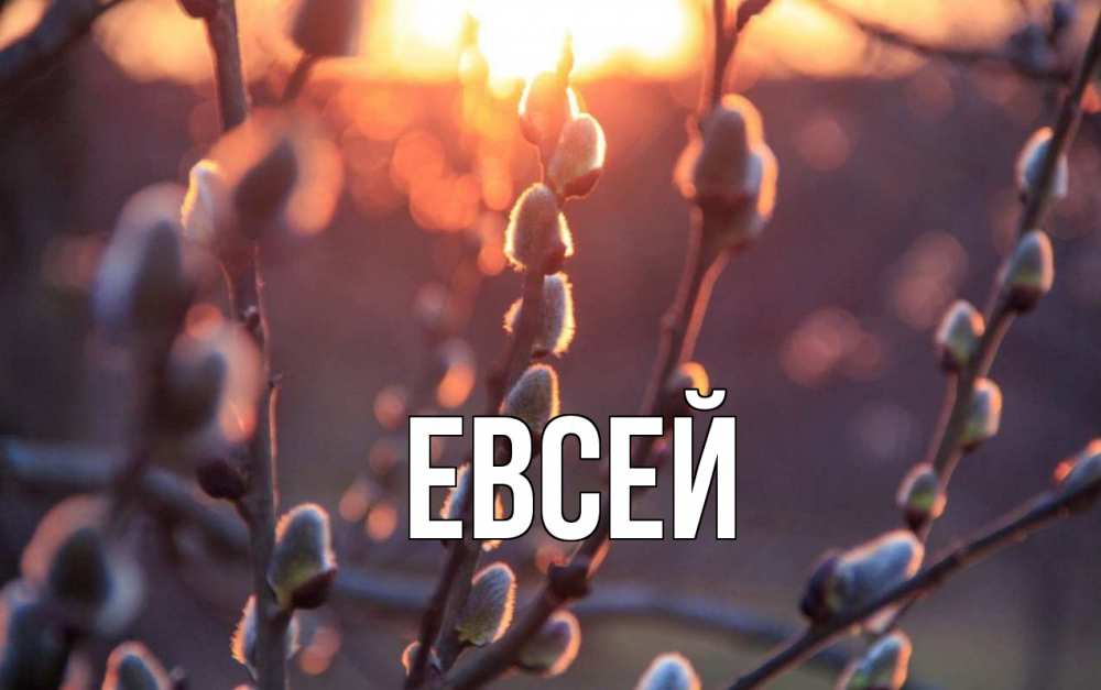 День евсея картинки