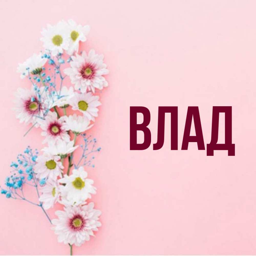 My name is vlad. My name is vlad. Brewdog my name is vladimir. My name is vlad. My name is vlad.