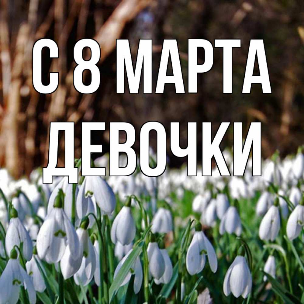 Картинка С 8 МАРТА, ДЕВОЧКИ