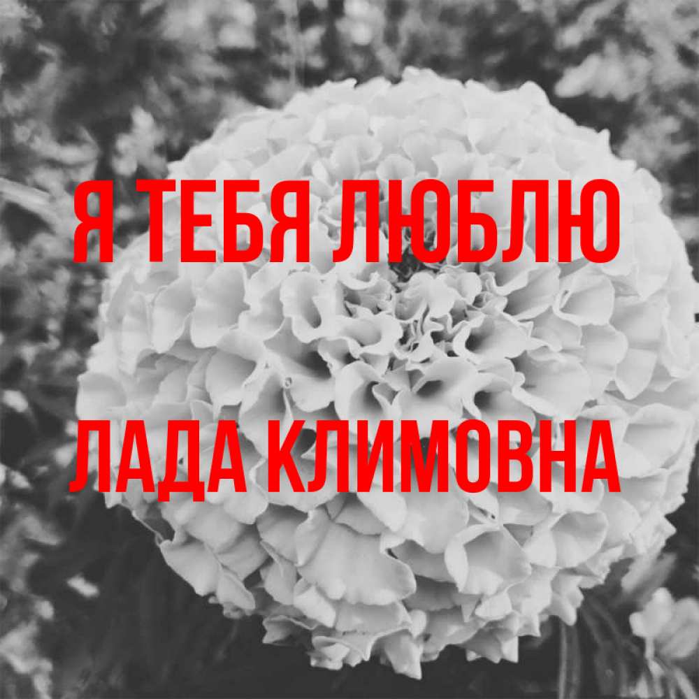 Картинка Я тебя люблю, Лада Климовна