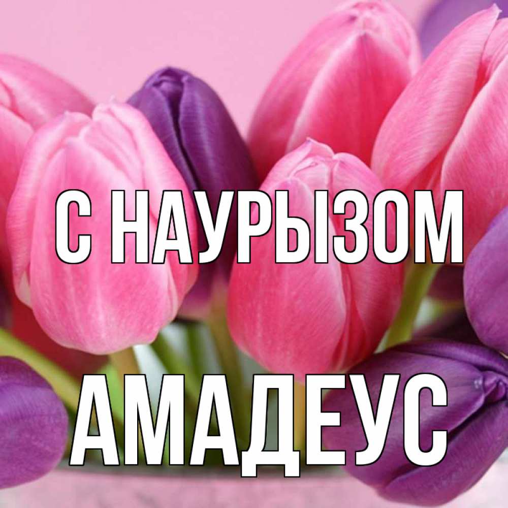 Открытка на каждый день с именем, Амадеус С наурызом маме 1 Прикольная открытка с пожеланием онлайн скачать бесплатно 