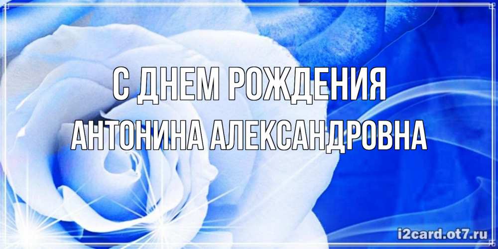 Открытка на каждый день с именем, Антонина-Александровна С днем рождения белая роза на голубом фоне Прикольная открытка с пожеланием онлайн скачать бесплатно 