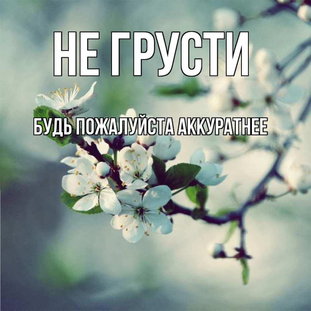 Открытка на каждый день с именем, БУДЬ-ПОЖАЛУЙСТА-АККУРАТНЕЕ Не грусти яблоня в цвету 1 Прикольная открытка с пожеланием онлайн скачать бесплатно 
