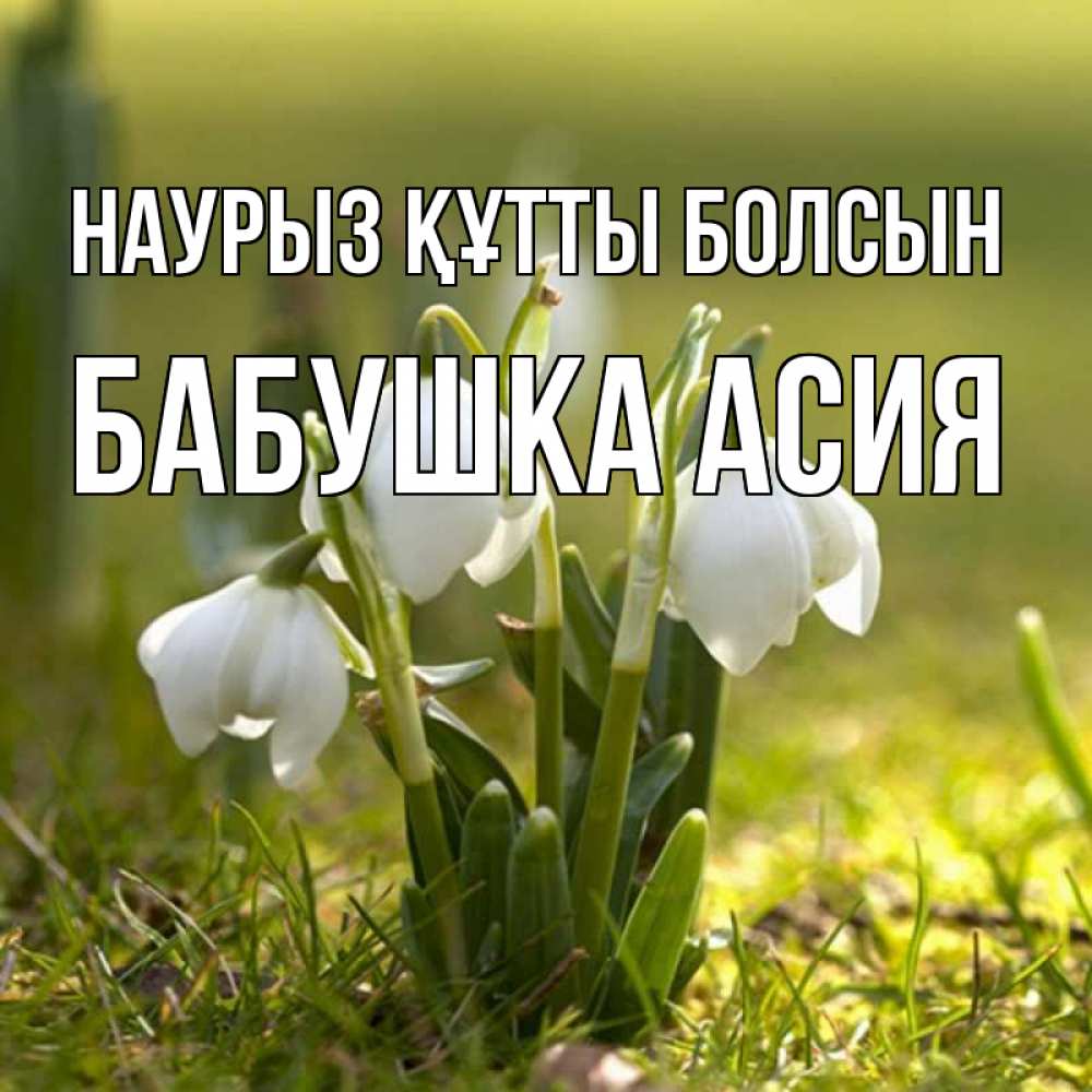 Открытка на каждый день с именем, Бабушка-Асия Наурыз құтты болсын ранние цветы 2 Прикольная открытка с пожеланием онлайн скачать бесплатно 