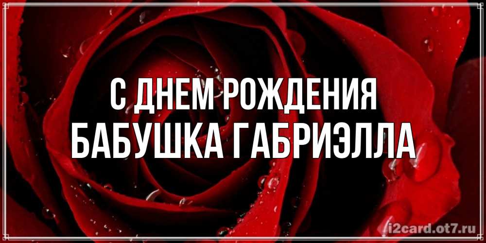 Открытка на каждый день с именем, Бабушка-Габриэлла С днем рождения крупная бордовая роза Прикольная открытка с пожеланием онлайн скачать бесплатно 