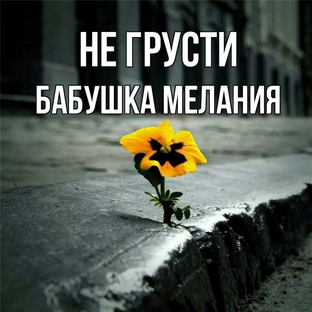 Открытка на каждый день с именем, Бабушка-Мелания Не грусти не сдавайся Прикольная открытка с пожеланием онлайн скачать бесплатно 