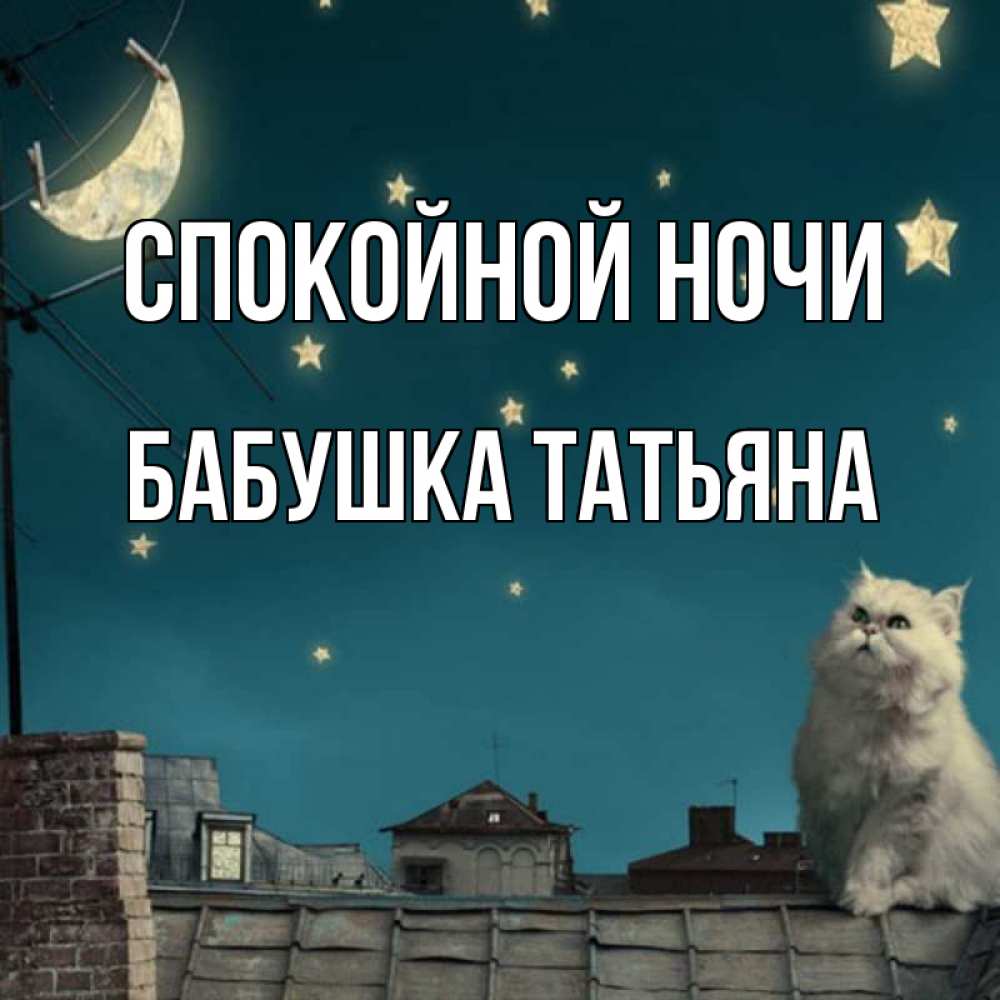 Открытка на каждый день с именем, Бабушка-Татьяна Спокойной ночи белый кот сидит на крыше Прикольная открытка с пожеланием онлайн скачать бесплатно 