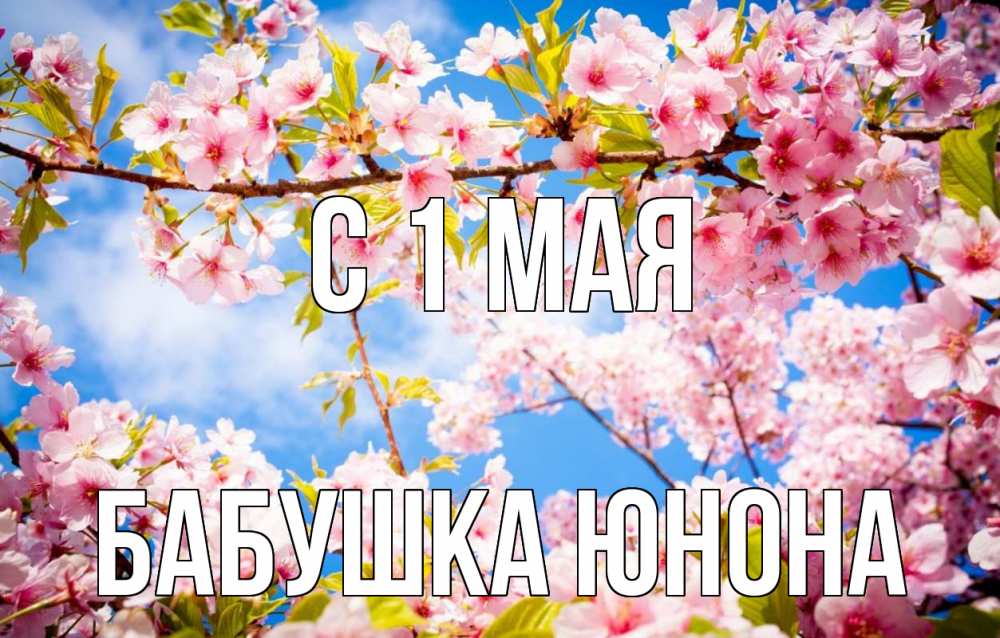 Открытка на каждый день с именем, Бабушка-Юнона С 1 мая С 1 мая Прикольная открытка с пожеланием онлайн скачать бесплатно 