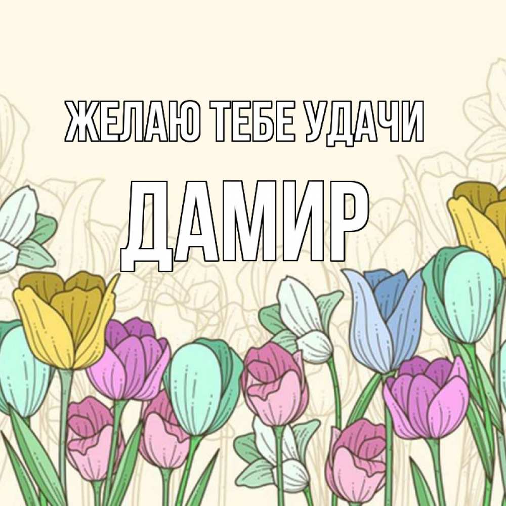 Открытка на каждый день с именем, Дамир Желаю тебе удачи тюльпаны Прикольная открытка с пожеланием онлайн скачать бесплатно 