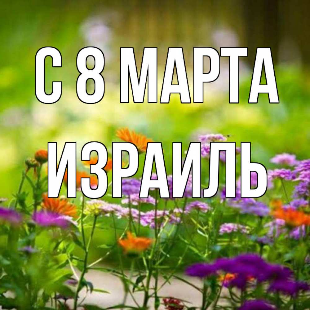 Открытка на каждый день с именем, Израиль С 8 МАРТА цветы Прикольная открытка с пожеланием онлайн скачать бесплатно 