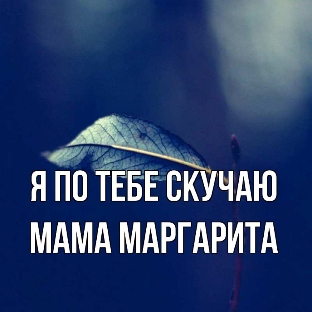Открытка на каждый день с именем, Мама-Маргарита Я по тебе скучаю одна ветка 1 Прикольная открытка с пожеланием онлайн скачать бесплатно 