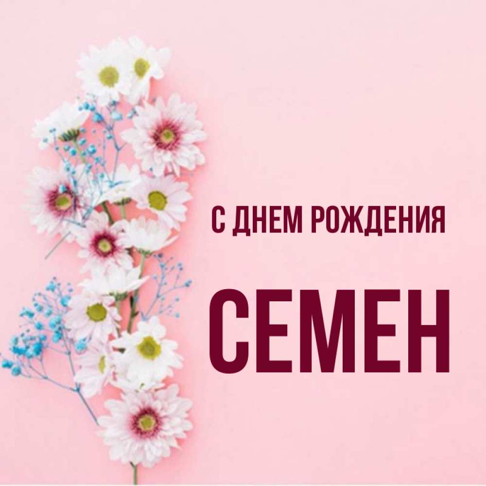 Открытка на каждый день с именем, Семен С днем рождения Родная моя с днем рождения тебя картинка с цветами белыми и голубыми Прикольная открытка с пожеланием онлайн скачать бесплатно 