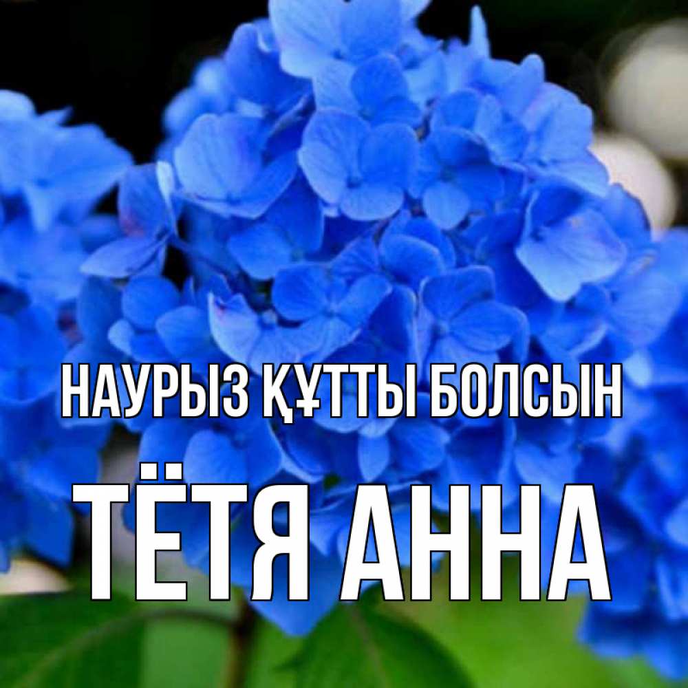 Открытка на каждый день с именем, Тётя-Анна Наурыз құтты болсын синие цветы Прикольная открытка с пожеланием онлайн скачать бесплатно 