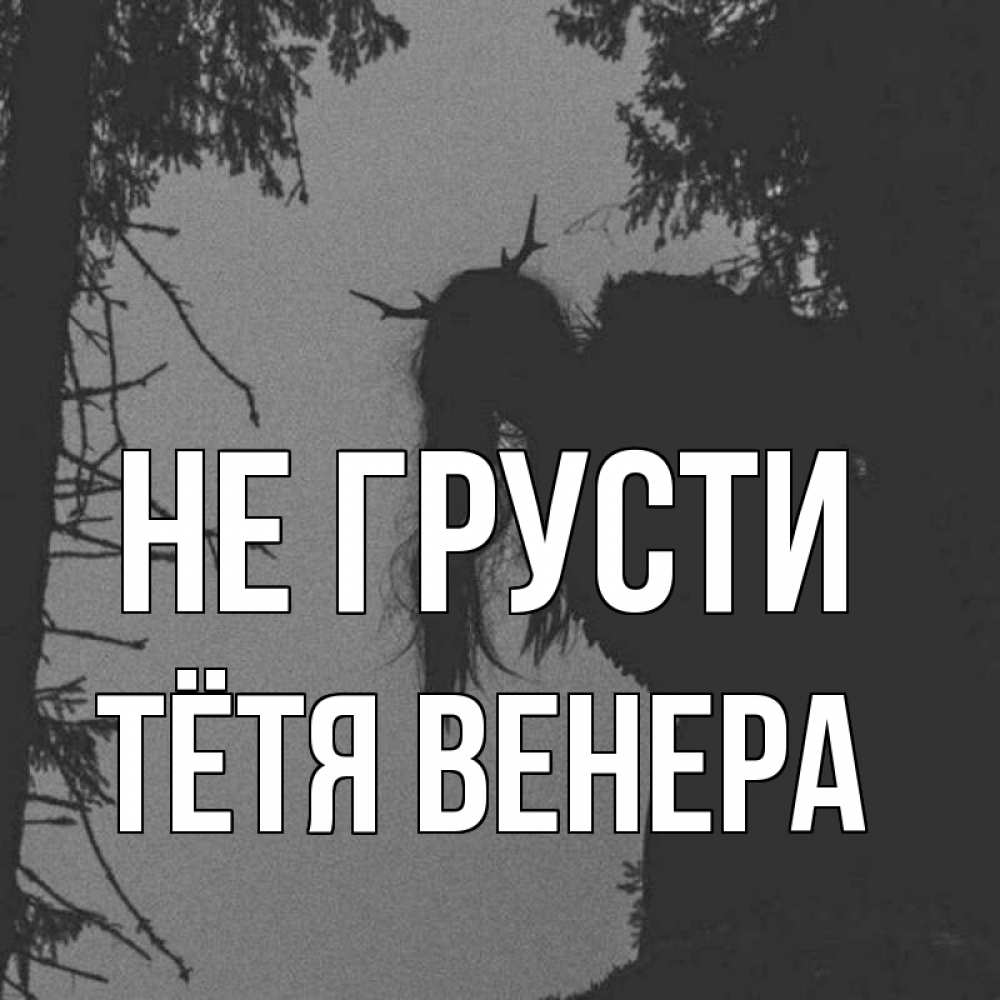 Открытка на каждый день с именем, Тётя-Венера Не грусти чудище лесное Прикольная открытка с пожеланием онлайн скачать бесплатно 