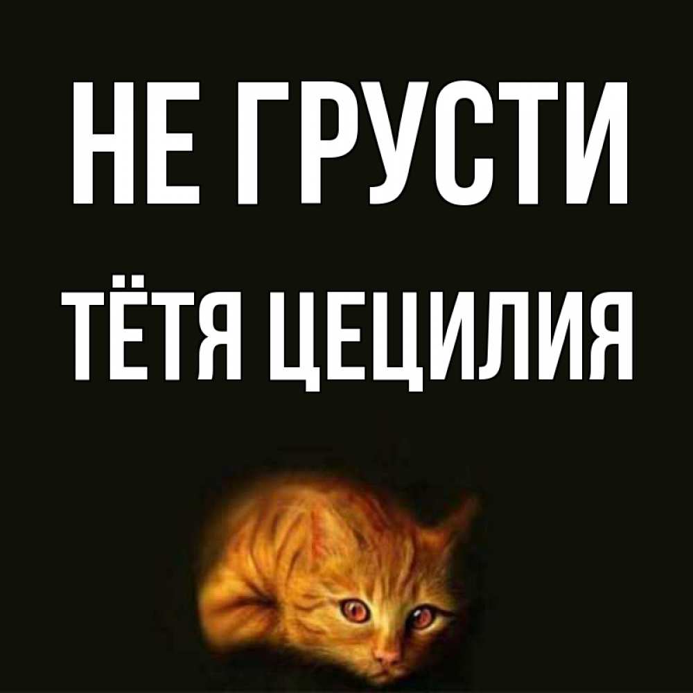 Открытка на каждый день с именем, Тётя-Цецилия Не грусти лежащий кот в темноте Прикольная открытка с пожеланием онлайн скачать бесплатно 