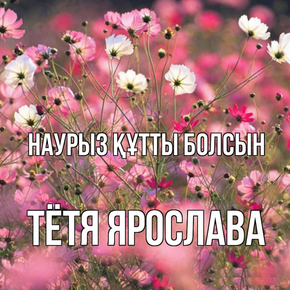 Открытка на каждый день с именем, Тётя-Ярослава Наурыз құтты болсын красиво 1 Прикольная открытка с пожеланием онлайн скачать бесплатно 