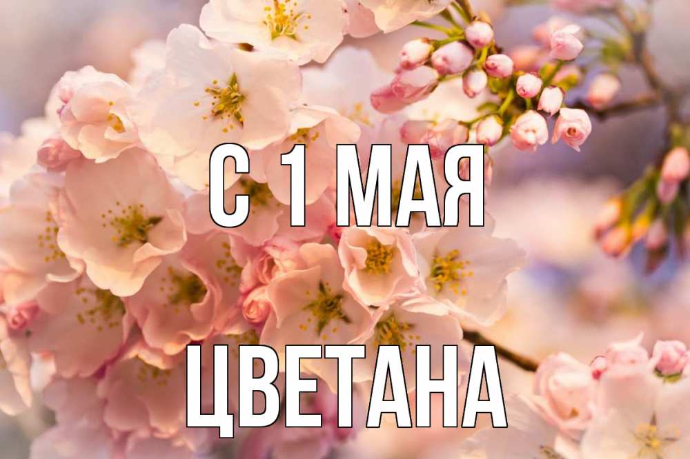 Открытка на каждый день с именем, Цветана С 1 мая С 1 мая Прикольная открытка с пожеланием онлайн скачать бесплатно 