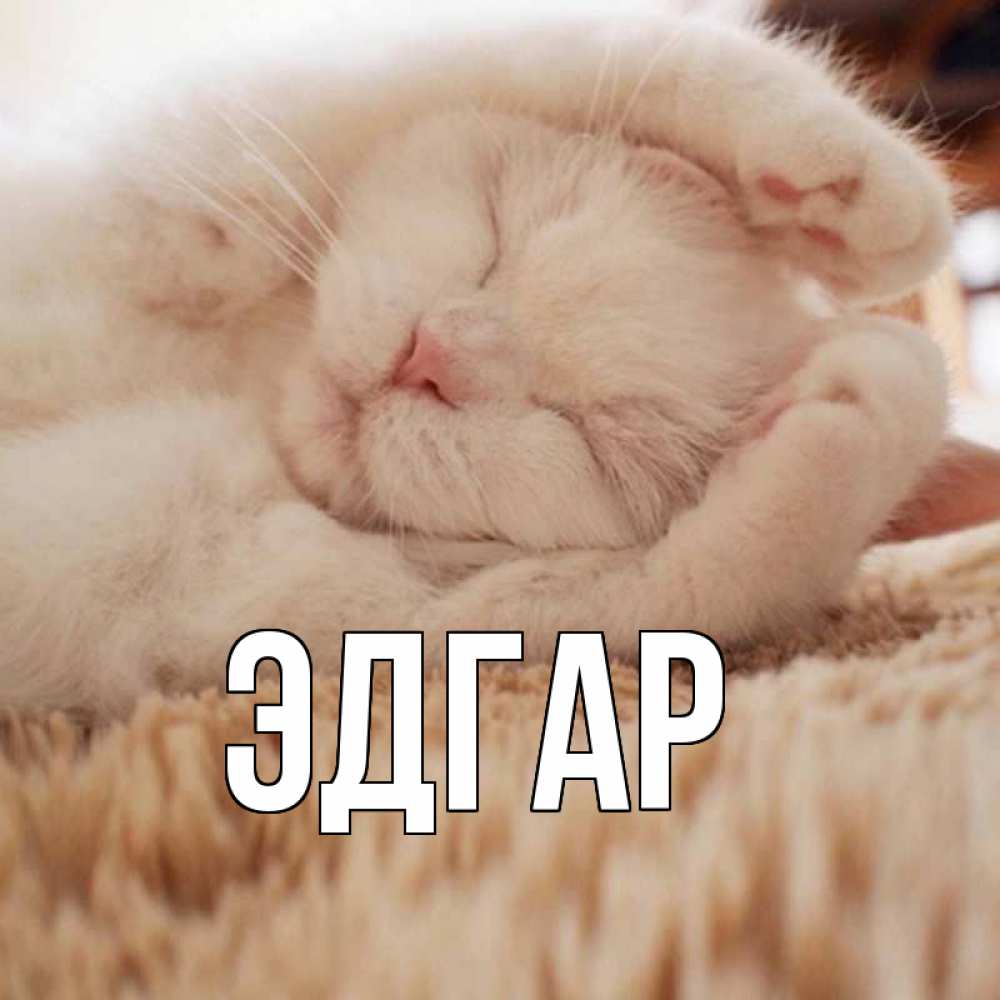 Открытка на каждый день с именем, Эдгар Главная для любимой девушки милота Прикольная открытка с пожеланием онлайн скачать бесплатно 