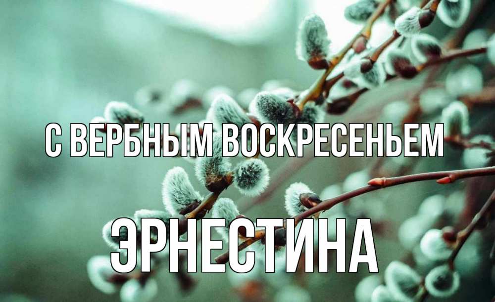 Открытка на каждый день с именем, Эрнестина С вербным воскресеньем верба Прикольная открытка с пожеланием онлайн скачать бесплатно 
