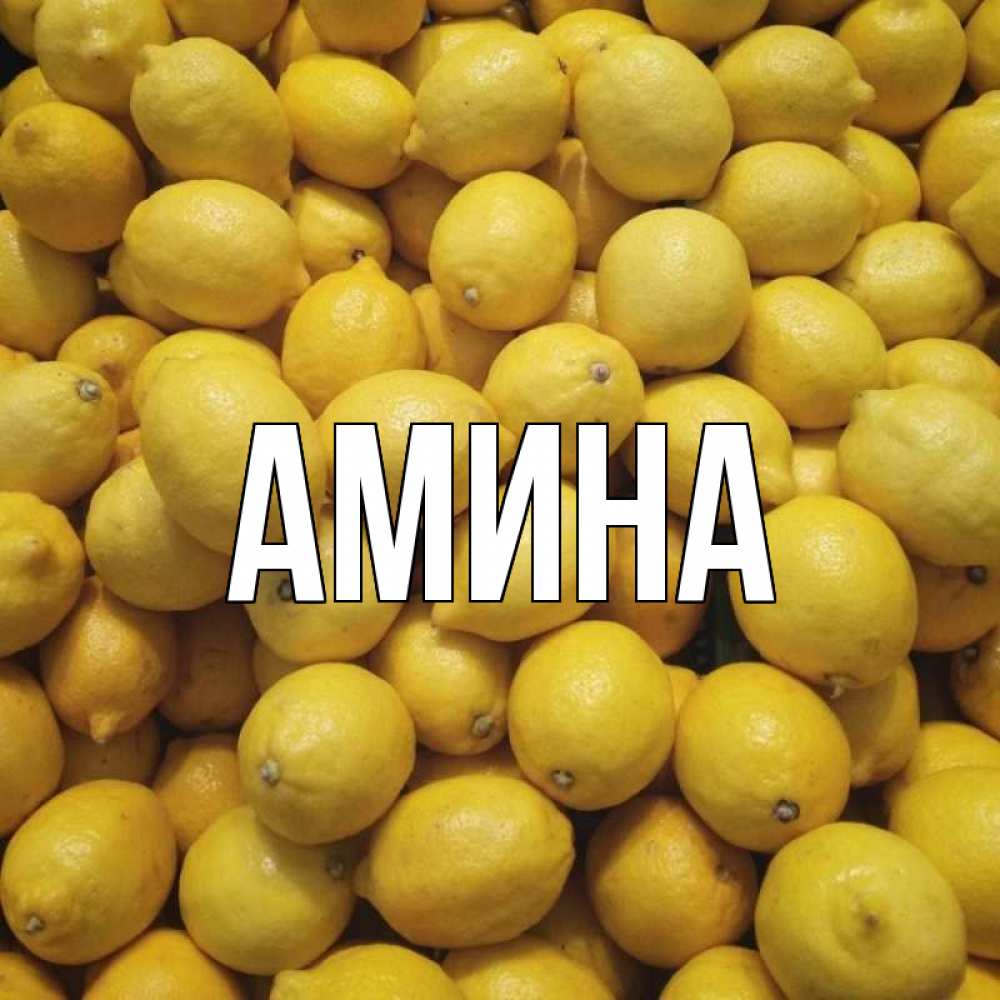Открытка на каждый день с именем, Амина Главная это точно поможет Прикольная открытка с пожеланием онлайн скачать бесплатно 