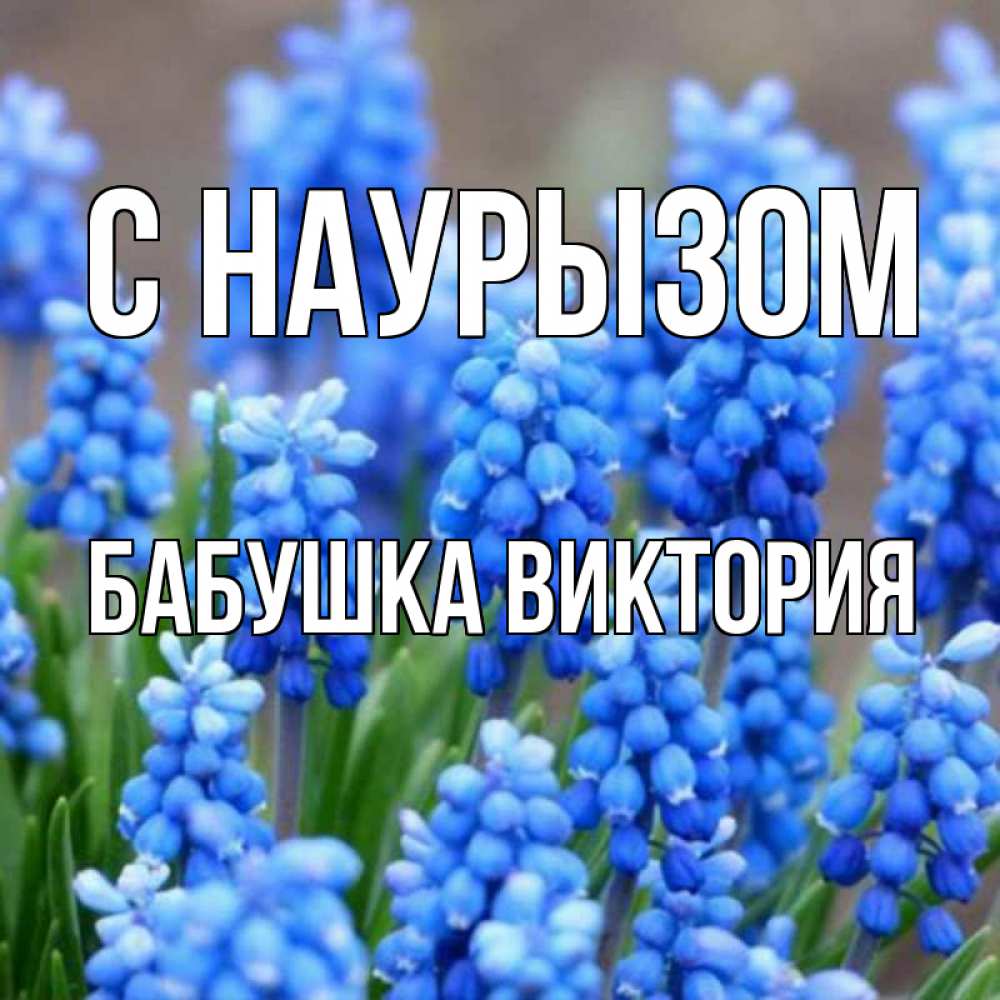 Открытка на каждый день с именем, Бабушка-Виктория С наурызом Поздравительная открытка для женщин с цветами на праздничную дату Прикольная открытка с пожеланием онлайн скачать бесплатно 