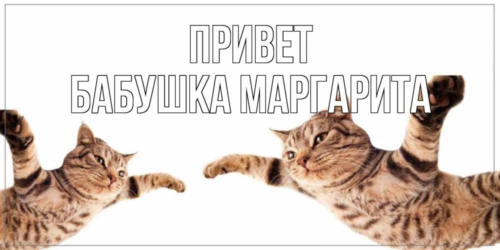 Открытка на каждый день с именем, Бабушка-Маргарита Привет кот Прикольная открытка с пожеланием онлайн скачать бесплатно 