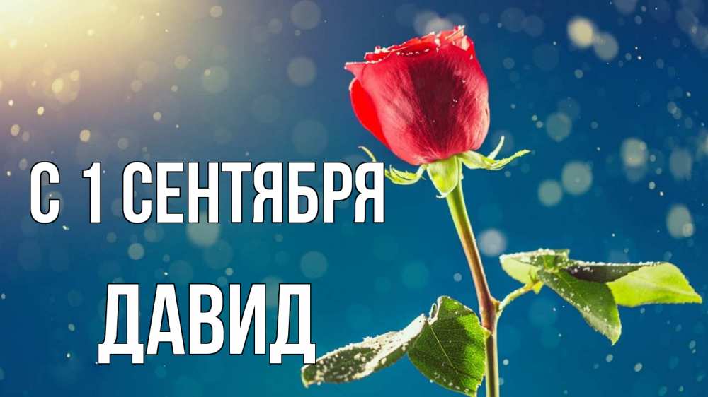 Открытка на каждый день с именем, Давид С 1 сентября с днем знаний Прикольная открытка с пожеланием онлайн скачать бесплатно 