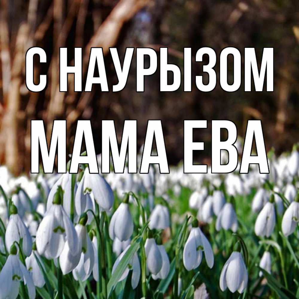 Открытка на каждый день с именем, Мама-Ева С наурызом с подснежниками 1 Прикольная открытка с пожеланием онлайн скачать бесплатно 