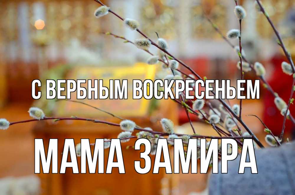 Открытка на каждый день с именем, Мама-Замира С вербным воскресеньем верба Прикольная открытка с пожеланием онлайн скачать бесплатно 