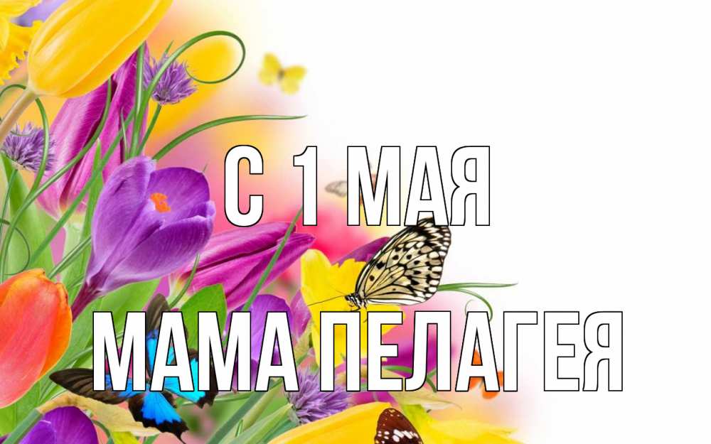 Открытка на каждый день с именем, Мама-Пелагея С 1 мая С 1 мая Прикольная открытка с пожеланием онлайн скачать бесплатно 