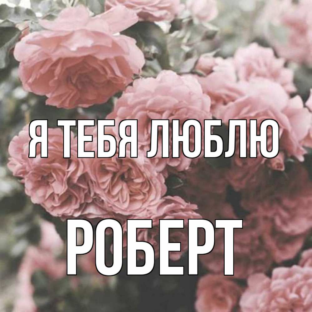 Открытка на каждый день с именем, Роберт Я тебя люблю розы 3 Прикольная открытка с пожеланием онлайн скачать бесплатно 