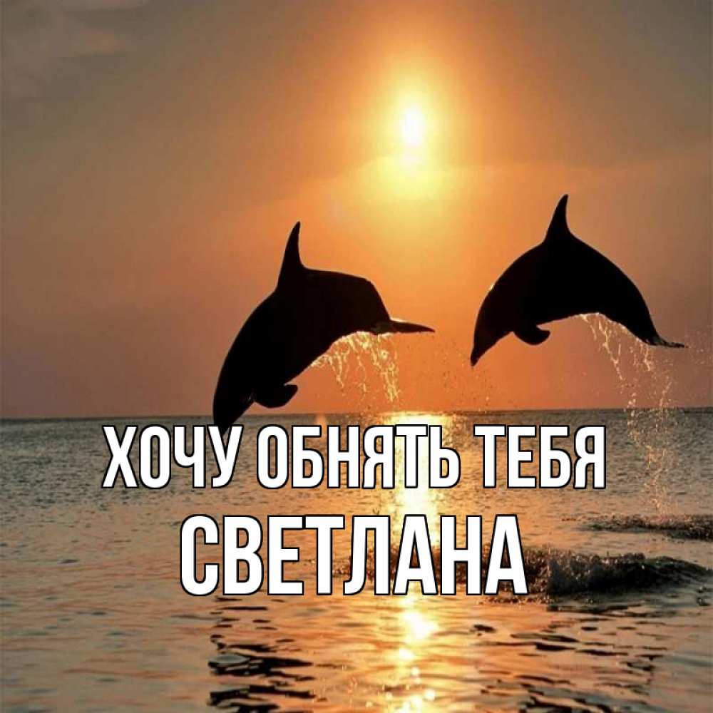 Открытка на каждый день с именем, Светлана Хочу обнять тебя рыбы на закате Прикольная открытка с пожеланием онлайн скачать бесплатно 
