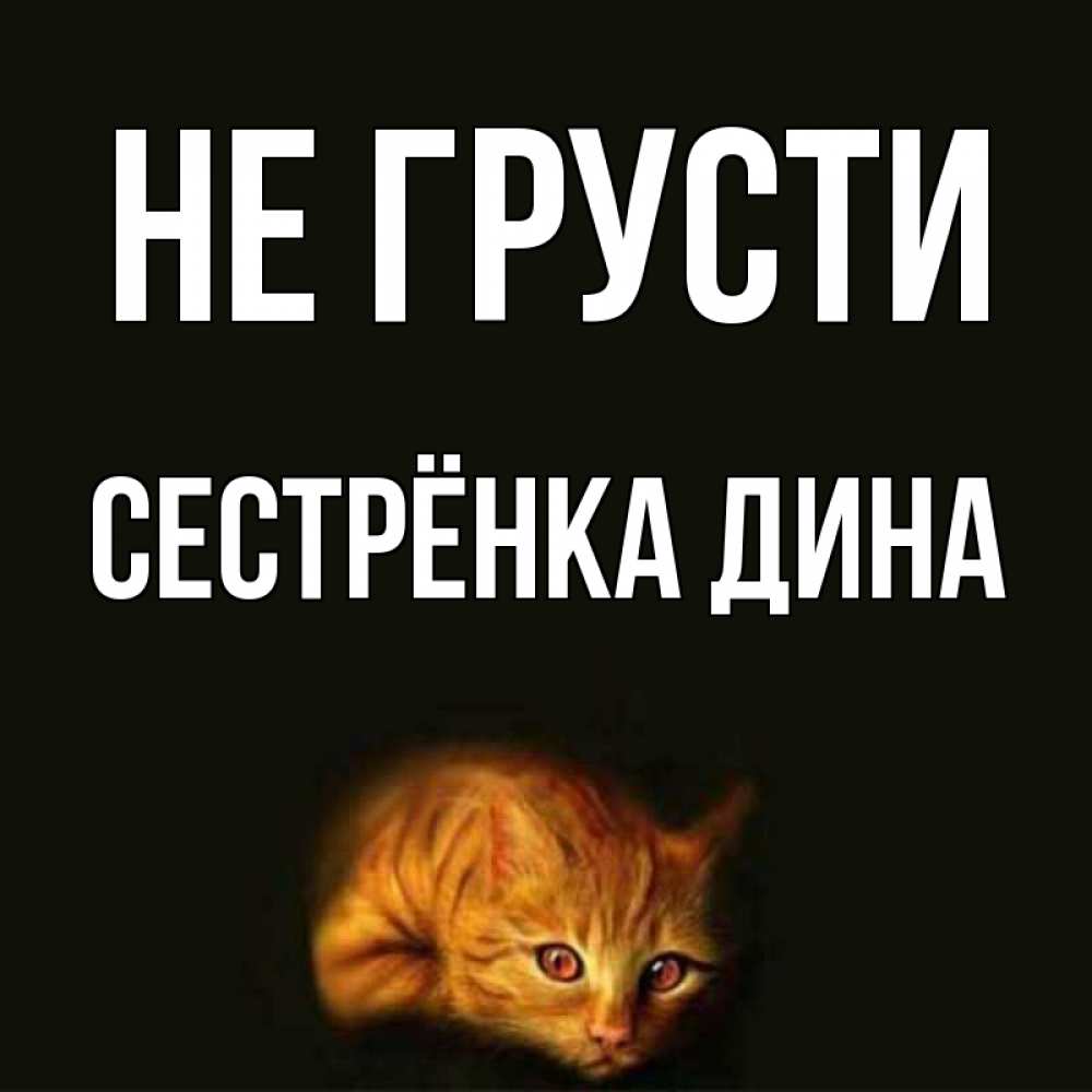 Открытка на каждый день с именем, Сестрёнка-Дина Не грусти лежащий кот в темноте Прикольная открытка с пожеланием онлайн скачать бесплатно 