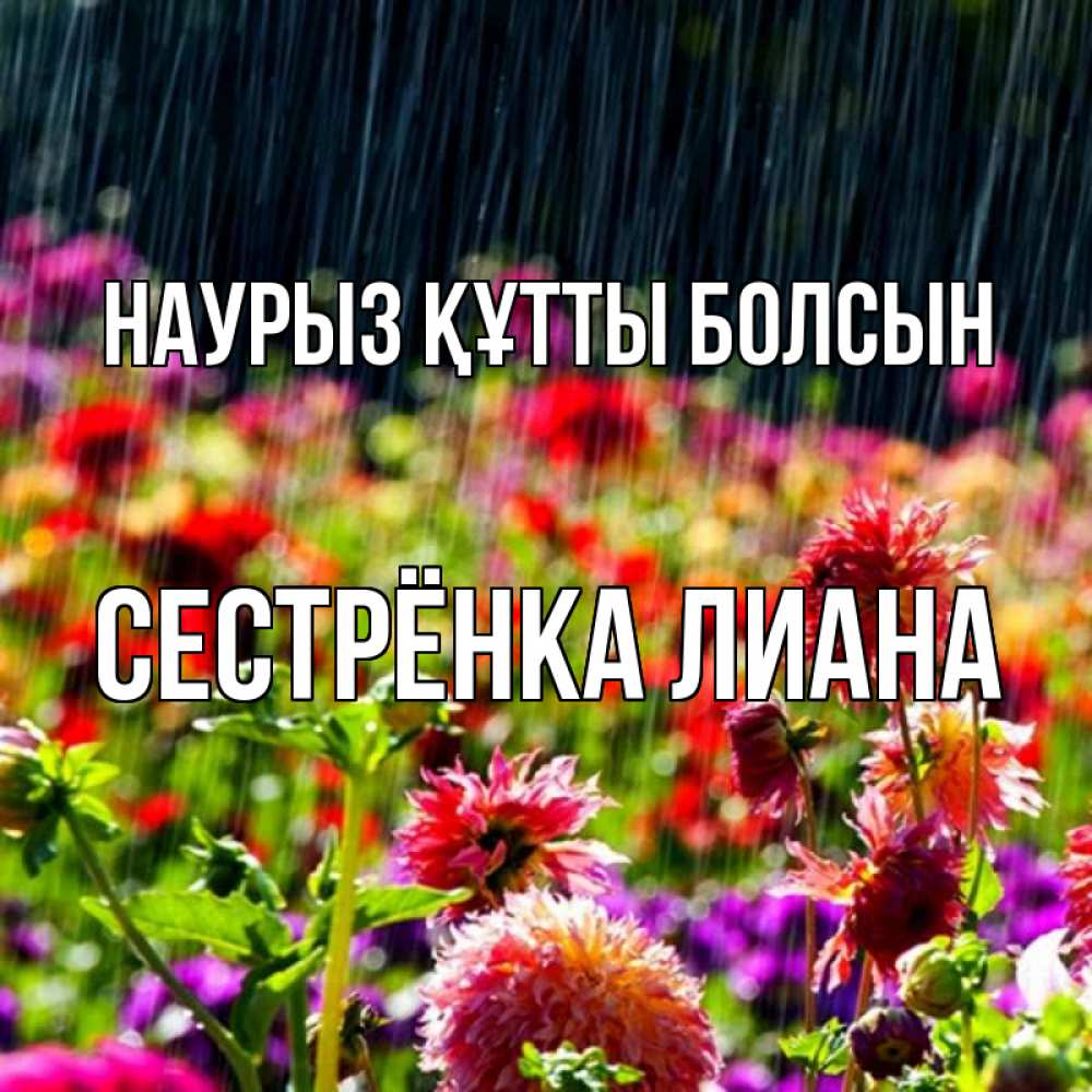 Открытка на каждый день с именем, Сестрёнка-Лиана Наурыз құтты болсын цветы под дождиком к наурызу Прикольная открытка с пожеланием онлайн скачать бесплатно 