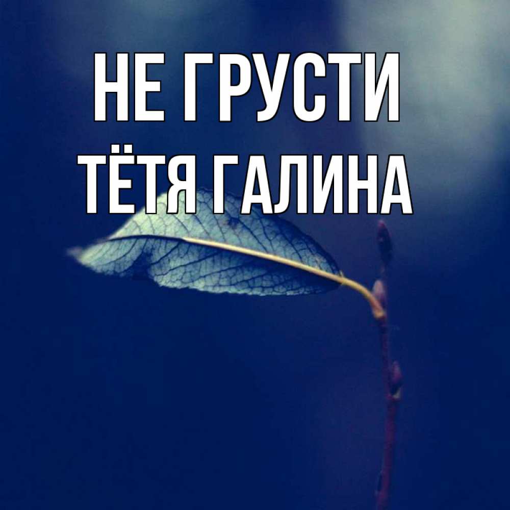Открытка на каждый день с именем, Тётя-Галина Не грусти растение Прикольная открытка с пожеланием онлайн скачать бесплатно 