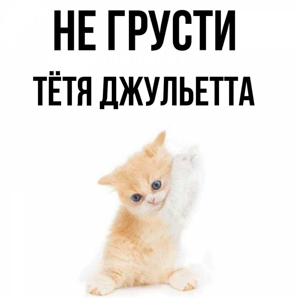 Открытка на каждый день с именем, Тётя-Джульетта Не грусти просящий кот Прикольная открытка с пожеланием онлайн скачать бесплатно 