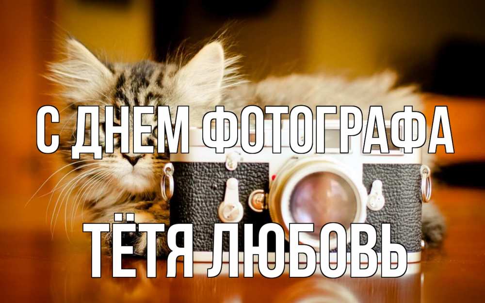 Открытка на каждый день с именем, Тётя-Любовь С днем фотографа с днем фотографа Прикольная открытка с пожеланием онлайн скачать бесплатно 