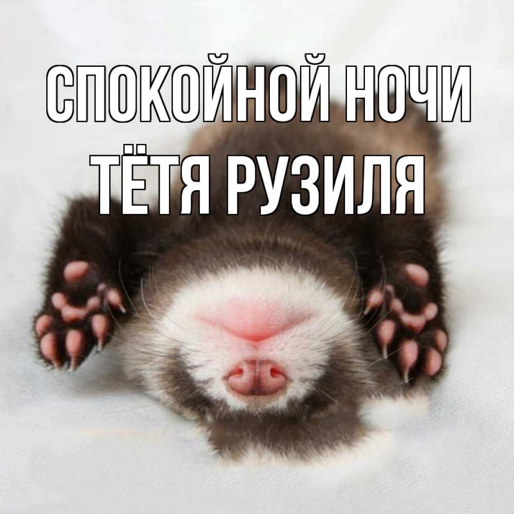 Открытка на каждый день с именем, Тётя-Рузиля Спокойной ночи зверек Прикольная открытка с пожеланием онлайн скачать бесплатно 