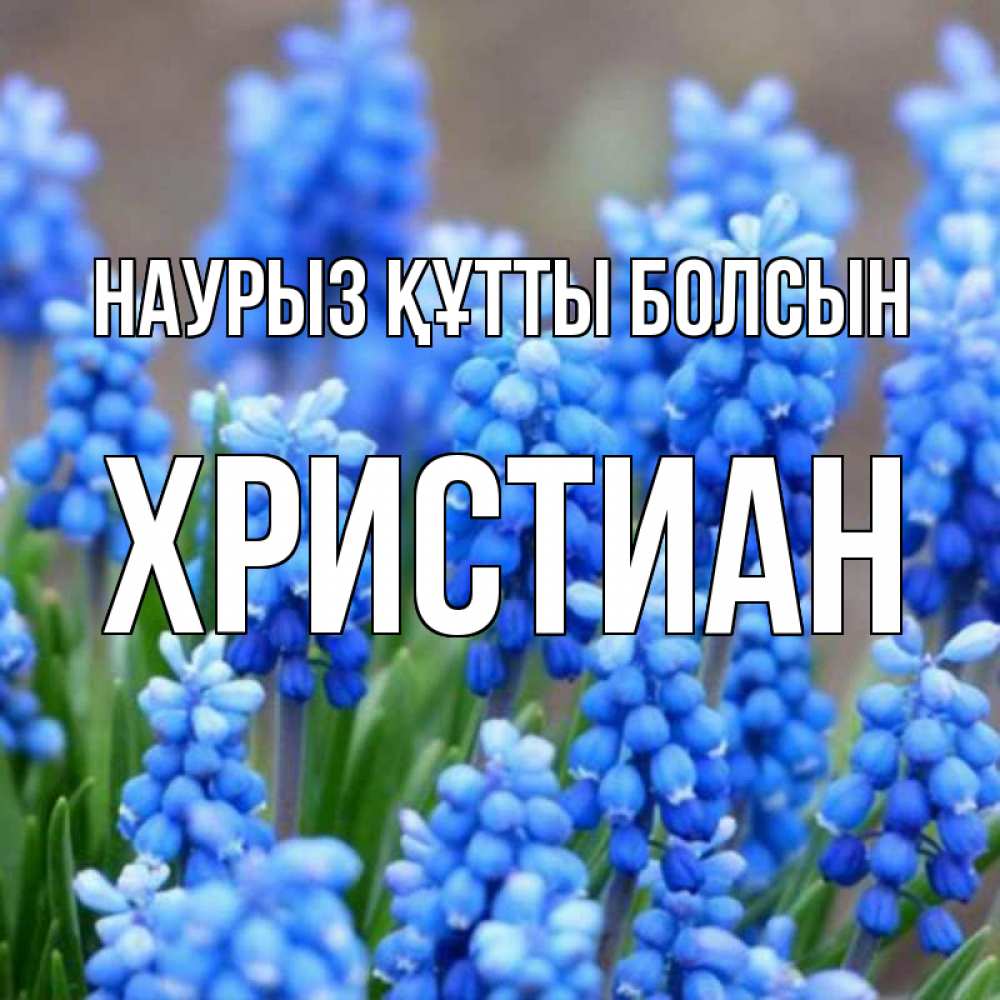 Открытка на каждый день с именем, Христиан Наурыз құтты болсын Поздравительная открытка для женщин с цветами на праздничную дату Прикольная открытка с пожеланием онлайн скачать бесплатно 