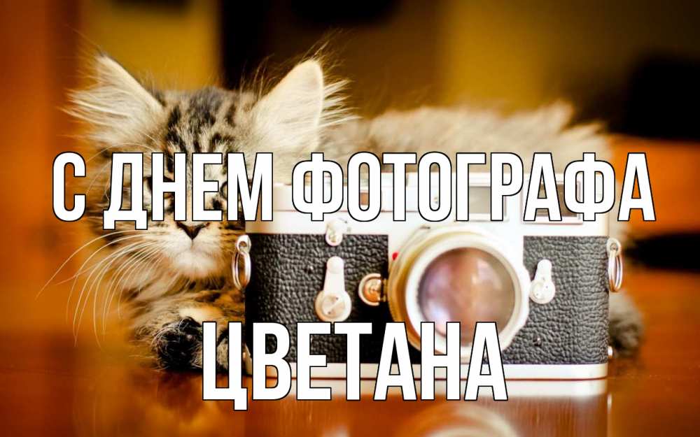 Открытка на каждый день с именем, Цветана С днем фотографа с днем фотографа Прикольная открытка с пожеланием онлайн скачать бесплатно 