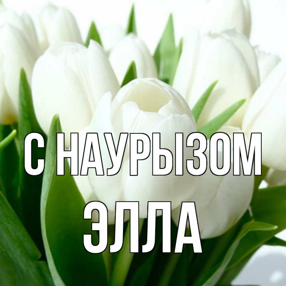 Открытка на каждый день с именем, Элла С наурызом цветы Прикольная открытка с пожеланием онлайн скачать бесплатно 