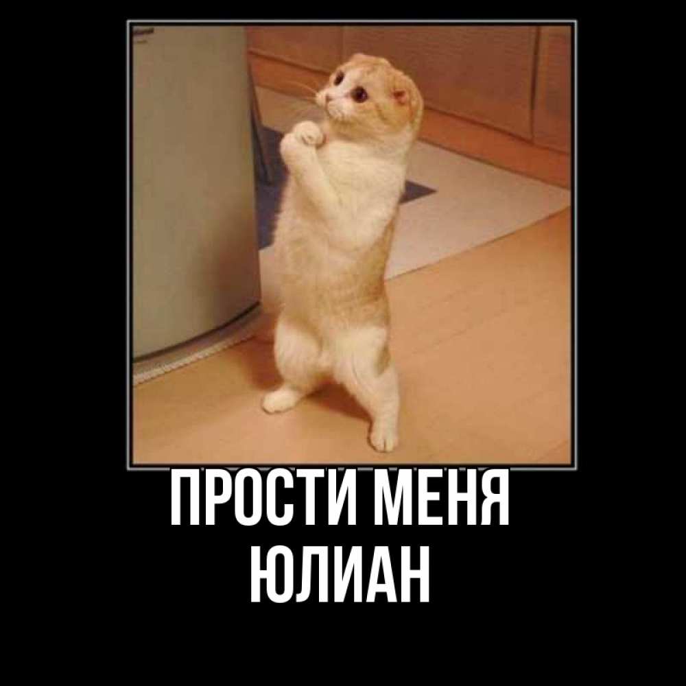 Открытка на каждый день с именем, Юлиан Прости меня открытка с милым несчастным котиком просящим прощения Прикольная открытка с пожеланием онлайн скачать бесплатно 