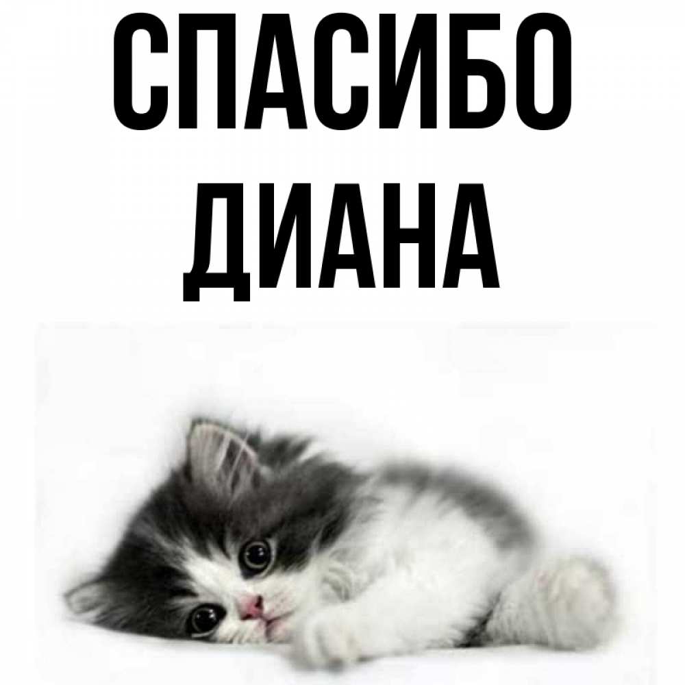 Картинки С Именем Диана Скачать