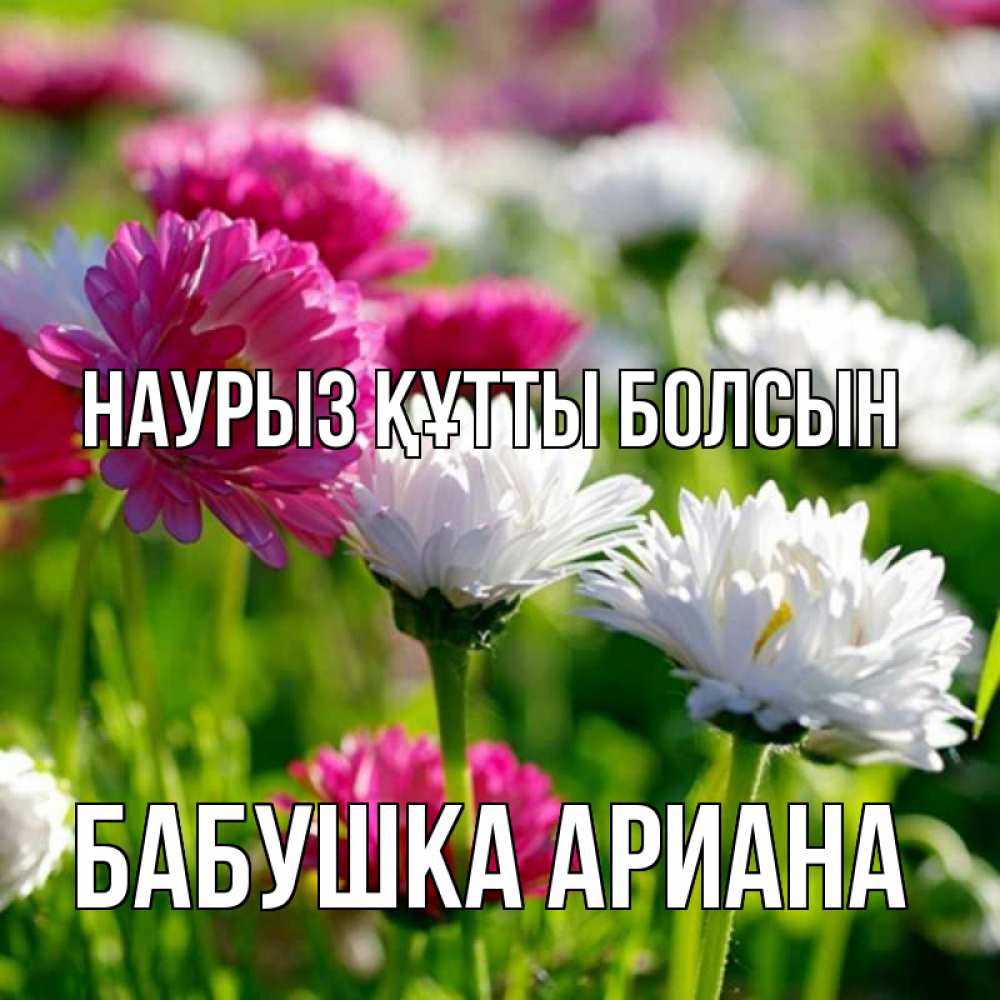 Открытка на каждый день с именем, Бабушка-Ариана Наурыз құтты болсын наурыз Прикольная открытка с пожеланием онлайн скачать бесплатно 