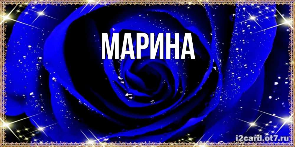 Открытка на каждый день с именем, Марина Главная голубые цветы в росе Прикольная открытка с пожеланием онлайн скачать бесплатно 