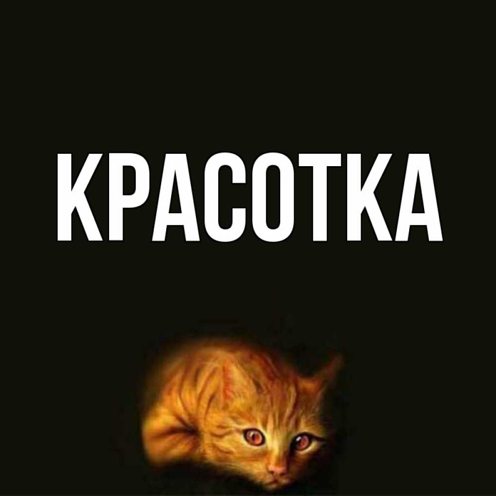 Открытка на каждый день с именем, красотка Главная лежащий кот в темноте Прикольная открытка с пожеланием онлайн скачать бесплатно 