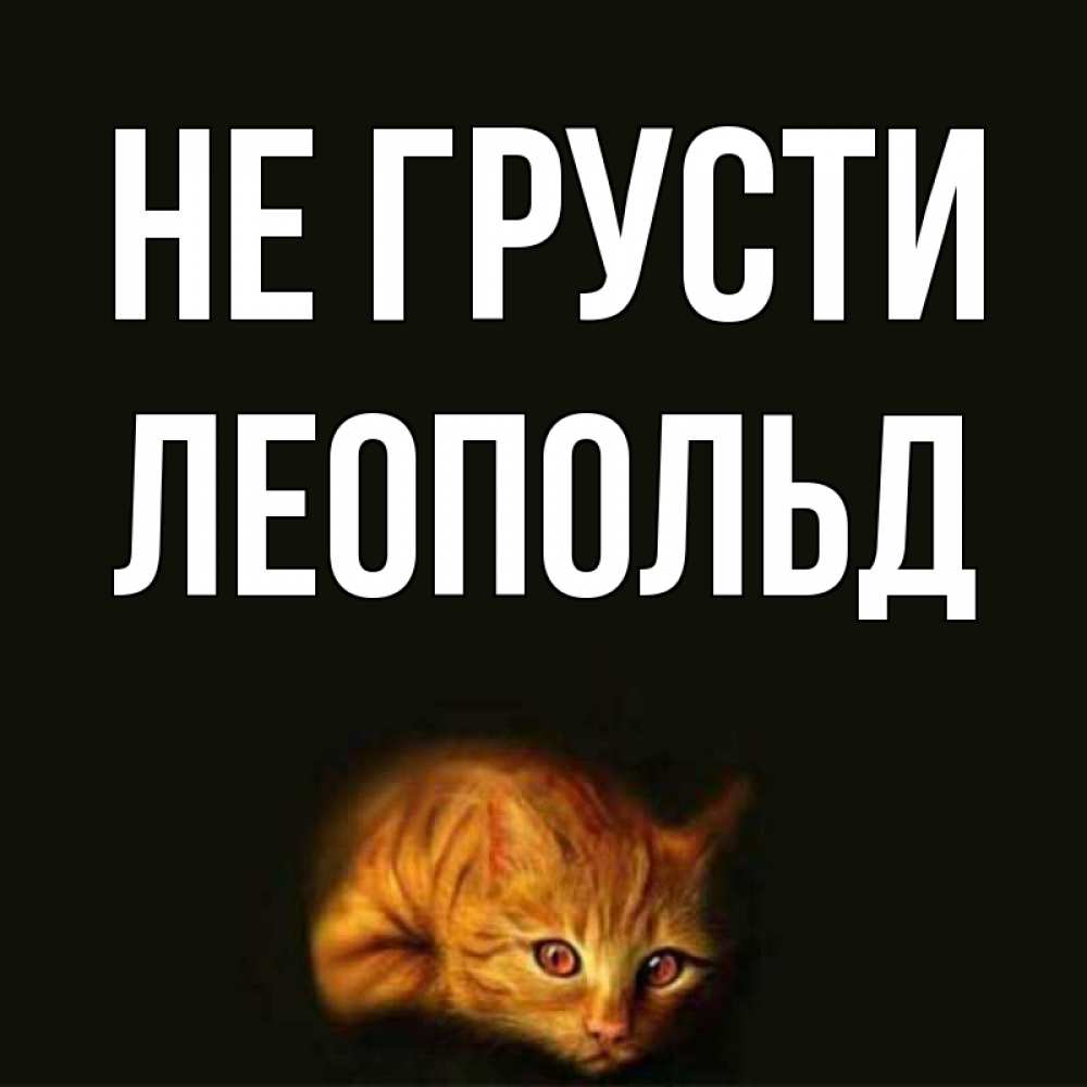 Открытка на каждый день с именем, Леопольд Не грусти лежащий кот в темноте Прикольная открытка с пожеланием онлайн скачать бесплатно 